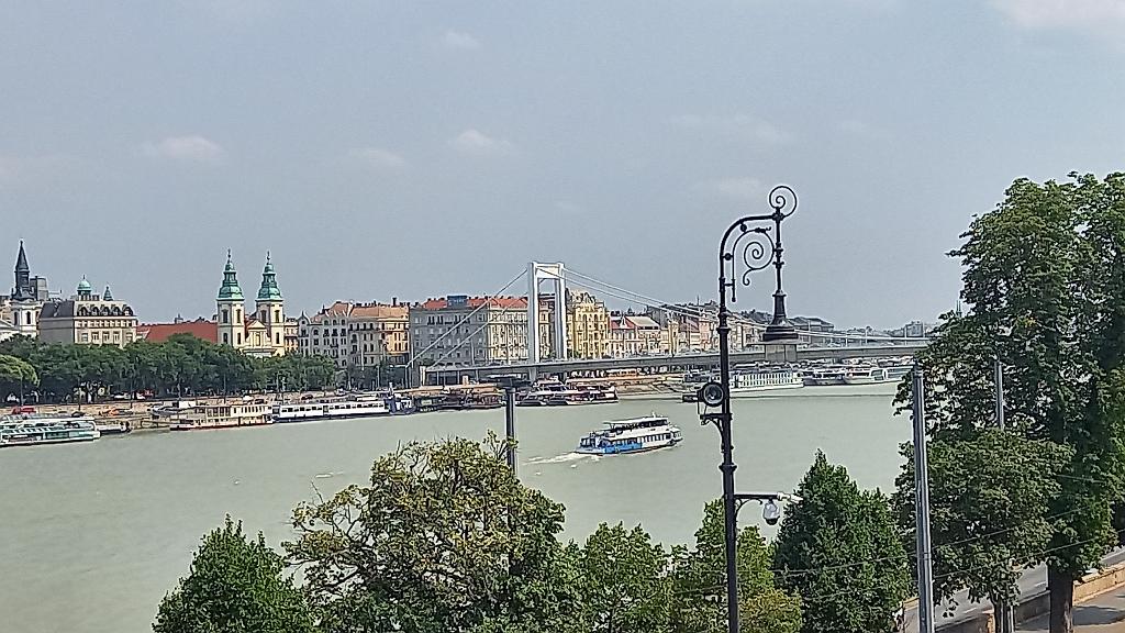 Donau (218)